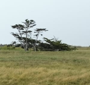 La pointe d'Oléron sous les embruns - Saint Denis d'Oléron - 5