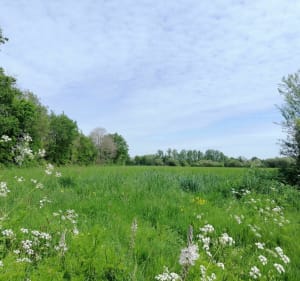 Jonction entre la Chevalerie et la Boissière - Saint-Vincent-sur-Graon - 5