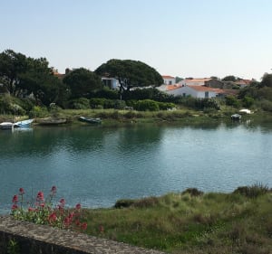 Balade à la gachère : le port de baleiniers et les marais - Estelle - 3