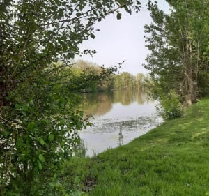 Petite balade à Châtres sur Cher - Châtres-sur-Cher - 3