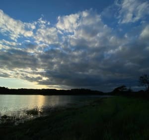 Prachtige wandeling langs de Vincin en Conleau - Vannes - 3