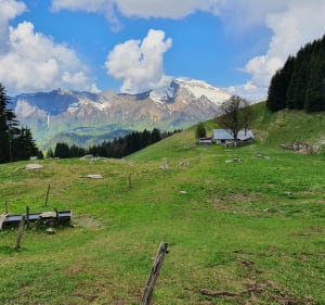 Balade au territoire des marmottes près du mont Charvin - Le Bouchet-Mont-Charvin - 5
