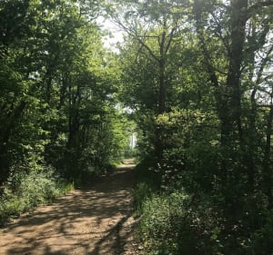 Balade dans les vergers - Clonas-sur-Varèze - 5
