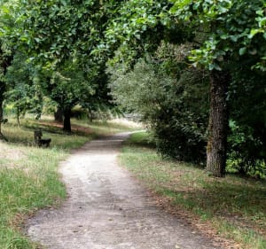 Balade à Pessac au départ du Bougnard - Pessac, Bordeaux - 4