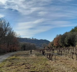 Lit de la Nesque et combe du Diable très agréable - Venasque - 5