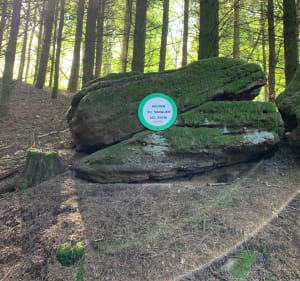 Petite boucle en forêt d’Ottersthal - Ottersthal - 5