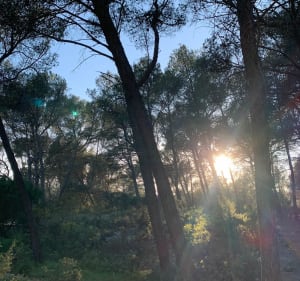 Colline de Sufferchoix et rivière de Lavaldenan - Lambesc - 5