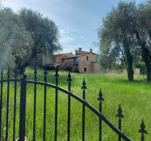 Les bois de Roquefort les Pins - Roquefort-les-Pins - 3