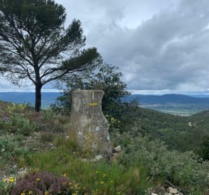 Crète de la Chaîne des Côtes - Lambesc - 3