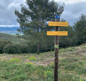 Crète de la Chaîne des Côtes - Lambesc - 5