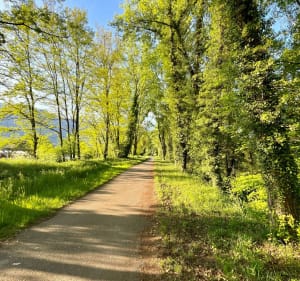 Virée à Crolles en longeant l’Isère - Le Versoud - 4