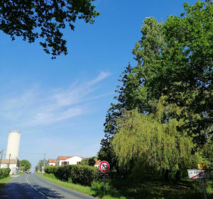 Boucle des deux pins - La Boissière-des-Landes - 3