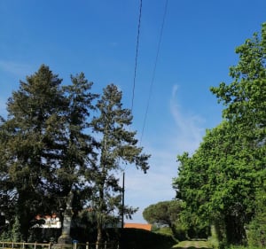 Boucle des deux pins - La Boissière-des-Landes - 4