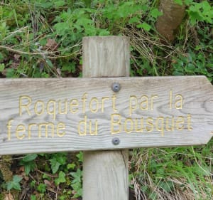 Randonnée de Tournemire à Roquefort - Tournemire - 3