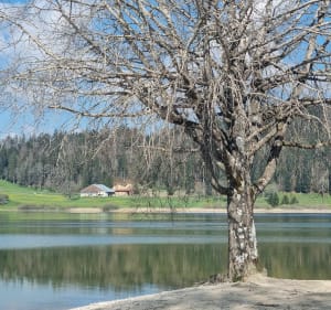 Labergement Sainte Marie et son lac - Labergement-Sainte-Marie - 5