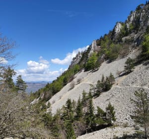 Mont Ventoux face Nord - Beaumont-du-Ventoux - 3