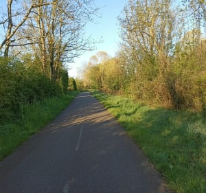 Balade des oiseaux : d'Agincourt au quartier des 3 maisons - Agincourt - 3