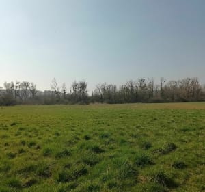 Sentier du Bruhlwald Lixing les Saint Avold - Vahl-Ebersing - 4