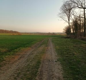Sentier du Bruhlwald Lixing les Saint Avold - Vahl-Ebersing - 5