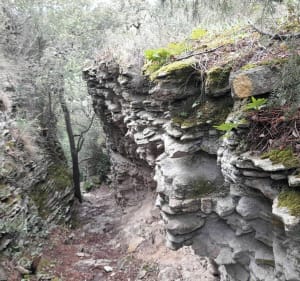 Jolie petite rando Venasque le Beaucet - Venasque - 3