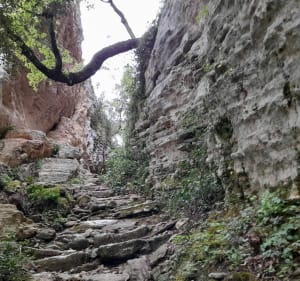 Jolie petite rando Venasque le Beaucet - Venasque - 4