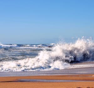 Balade dans les dunes et la plage de la Paracou - Les Sables-d'Olonne - 5