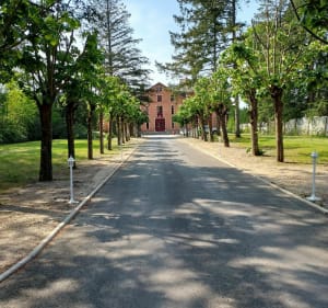Au cœur de la Sologne sur le GR et les petites routes - La Ferté-Saint-Aubin - 3