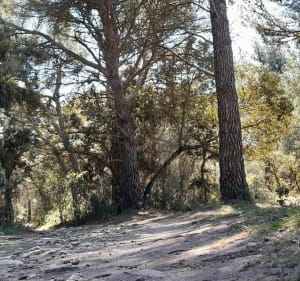 Belle randonnée technique à l'arche de Valescure - Saumane-de-Vaucluse - 5