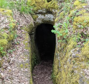 Rendre visite au Roi des Chauzes en forêt de Lanmary - Antonne-et-Trigonant - 3
