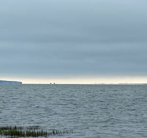 Een korte wandeling door de quincunxen - Andernos-les-Bains - 3