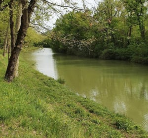 Canal à Gardouch - Gardouch - 5