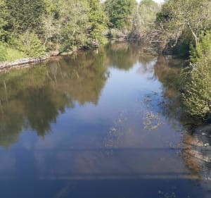 Balade en chemin autour de Turpinay - Selles-sur-Cher - 3