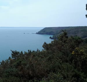 Section du GR34 de Crozon jusqu'au Cap de la Chèvre - Crozon - 2