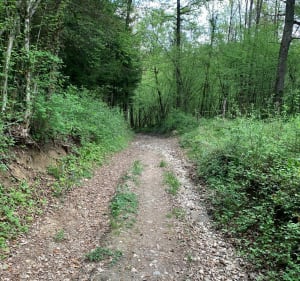 Bol d’air en campagne au pied de la Mandallaz - La Balme-de-Sillingy - 4