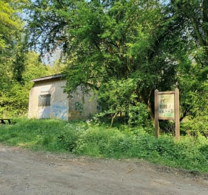 Promenade à Saint-Nicolas - Hussigny-Godbrange - 5