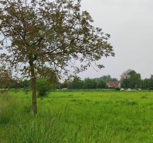 Balade le long de L'Ill      Haut-Rhin , Illzach/Sausheim - PhilippeC - 3