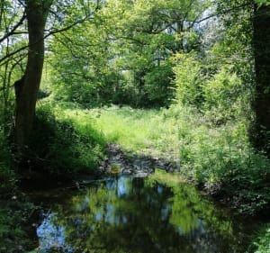 Promenade le long de La Lière - Sainte-Flaive-des-Loups - 5