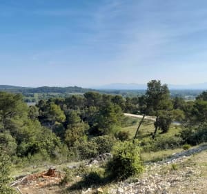 Virée dans la colline Ste Anne. - Vedène - 4