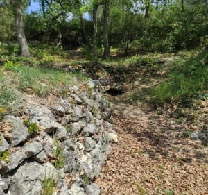Entre vignes et oliviers depuis Saint-Cannat - Saint-Cannat - 5