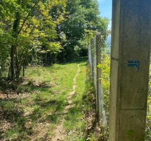 De Meysse, Malarias et les Videaux - BIMLA - 4