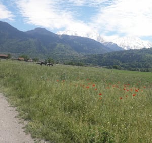 Lacs de Passy et des Ilettes - Sallanches - 4