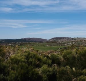 Mas de la Barque - L'Hôpital - Pont-de-Montvert-Sud-Mont-Lozère - 4