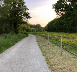 Liaison: De Moulin-Papon à la vallée de l’Yon - La Roche-sur-Yon - 4
