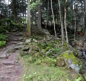 Petit tour du lac de la Maix à Vexaincourt - Vexaincourt - 5