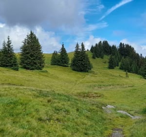 Wandelen in Chaucisse - Saint Nicolas la Chapelle - 3