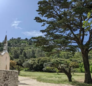 Autour de Tourris - Le Revest-les-Eaux - 4