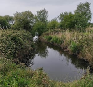 Marais du Curnic et plage du Vougot - Guissény - 4