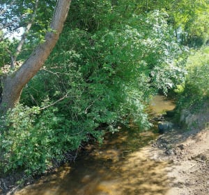 Le petit pont du Boivre - Saint-Père-en-Retz - 5