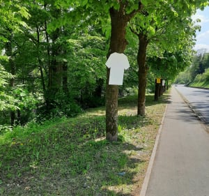 Balade avec points de vue à Longwy Bas - Longwy - 4
