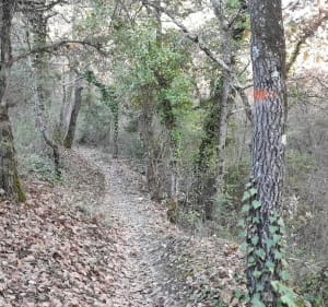 Randonnée entre Pernes et La Roque sur Pernes - Pernes-les-Fontaines - 5